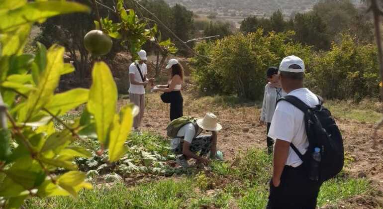 Day Trip to Aghbalo: Discover Nature and Amzighe Traditions Exchange Morocco &mdash; #11
