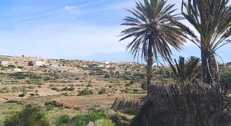 Day Trip to Aghbalo: Discover Nature and Amzighe Traditions Exchange Morocco &mdash; #12