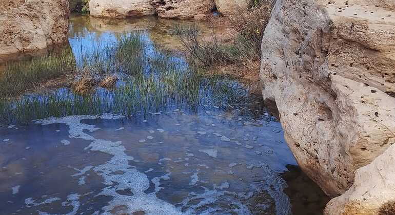 Day Trip to Aghbalo: Discover Nature and Amzighe Traditions Exchange Morocco &mdash; #15