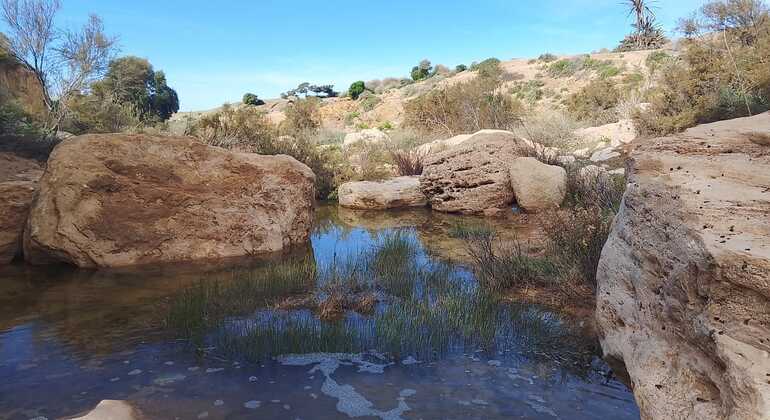 Day Trip to Aghbalo: Discover Nature and Amzighe Traditions Exchange Morocco &mdash; #16