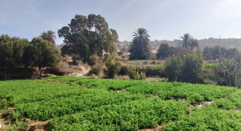 Day Trip to Aghbalo: Discover Nature and Amzighe Traditions Exchange Morocco &mdash; #5