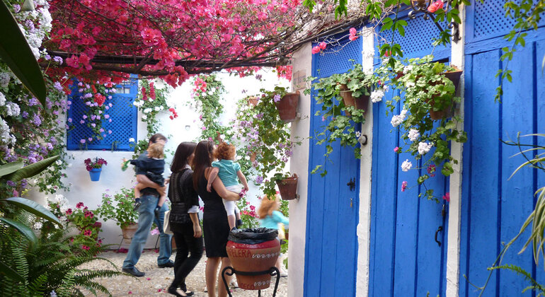Free Tour dei Cortili di Cordova - Patios de Cordova Fornito da Los 7 secretos