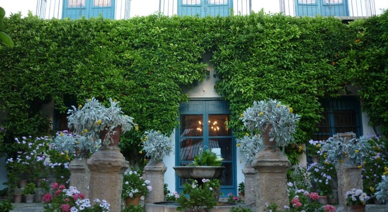 Free Tour dei Cortili di Cordova - Patios de Cordova Spagna &mdash; #3