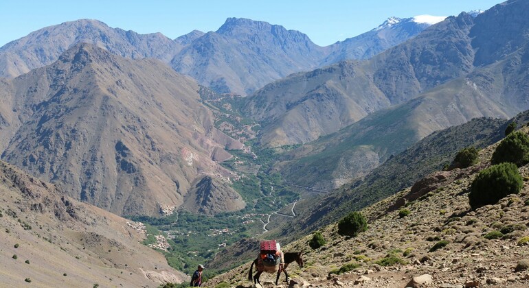 Valle de Imlil: Excursión a pie por los pueblos bereberes