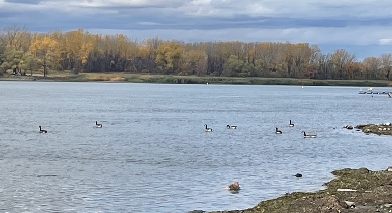 getaway-from-montreal-south-shore-es-2