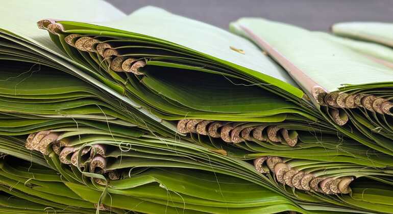 Erleben Sie die Offbeat Bangalore Free Tour mit einem Einheimischen Indien &mdash; #6