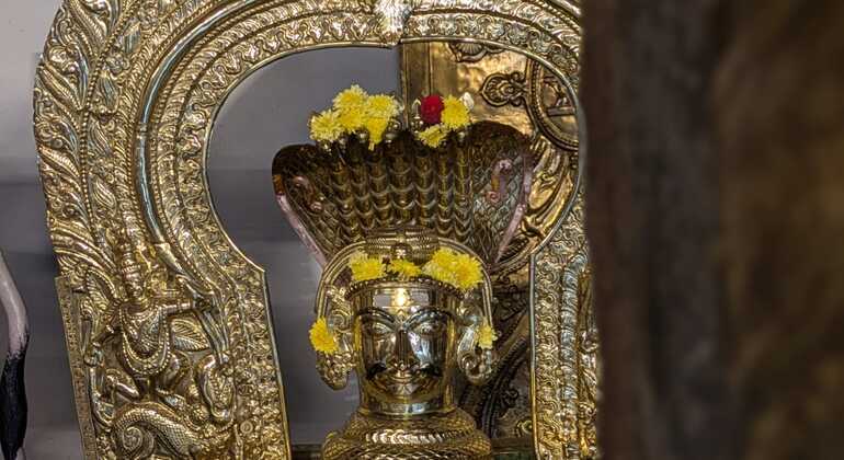 Erleben Sie die Offbeat Bangalore Free Tour mit einem Einheimischen Indien &mdash; #8