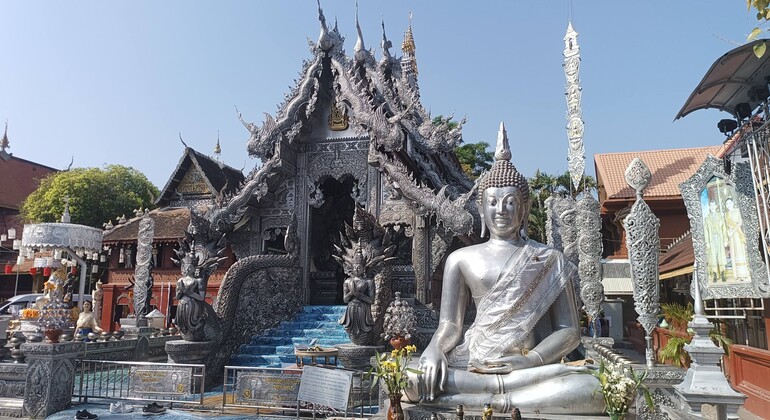 chiang-mai-meditation-and-temple-retreat-full-day-es-6