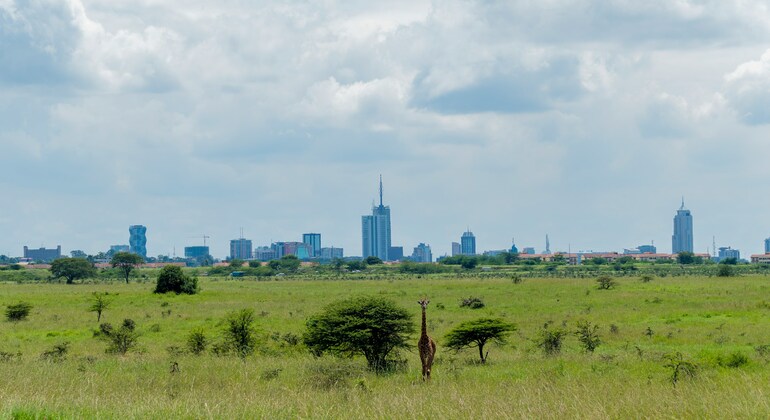 Wildlife in the City: Nairobi National Park Tour Kenya &mdash; #2