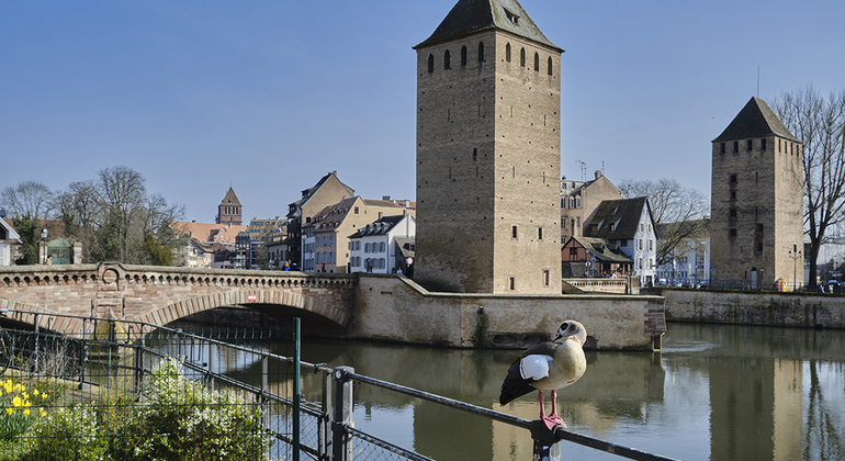 A guided walking tour of historic Strasbourg France &mdash; #6