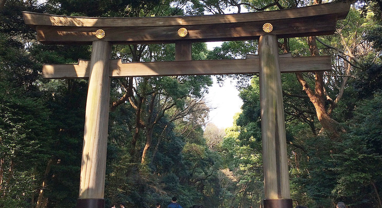 Shibuya : Du chaos urbain à la forêt sacrée - Visite guidée gratuite en anglais Fournie par Hugo
