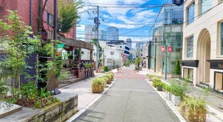 Shibuya : Du chaos urbain à la forêt sacrée - Visite guidée gratuite en anglais Japon &mdash; #2