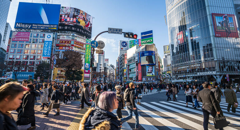 Shibuya : Du chaos urbain à la forêt sacrée - Visite guidée gratuite en anglais Japon &mdash; #3