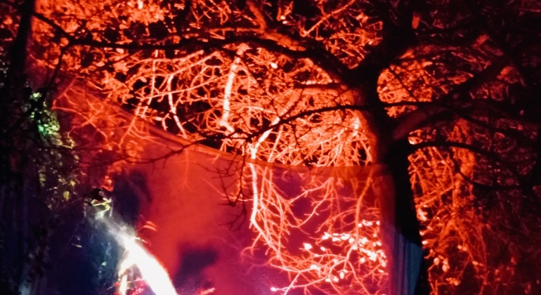 Lendas e mistérios de Salamanca à noite Free Tour Espanha &mdash; #5