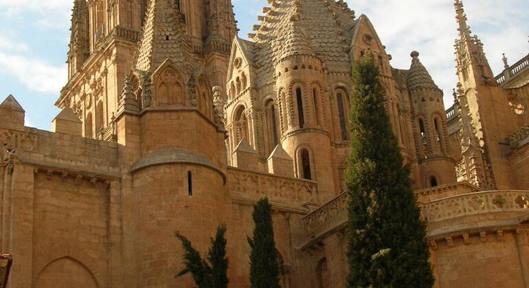 Lendas e mistérios de Salamanca à noite Free Tour Espanha &mdash; #7