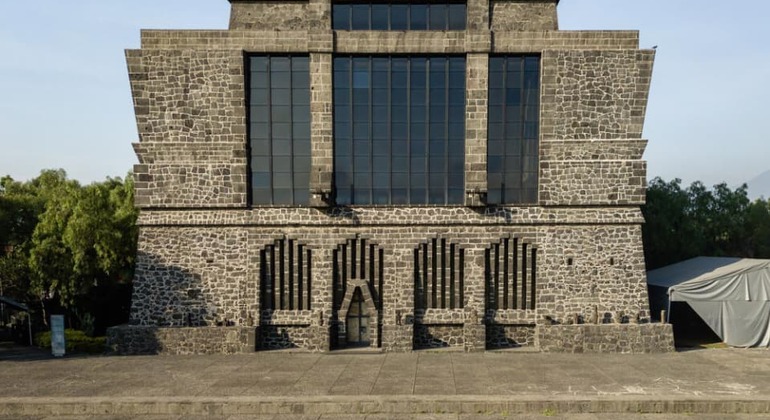 Coyoacán Vibes Tour & Xochimilco Afterparty Provided by Nika Tours: Son of Sun