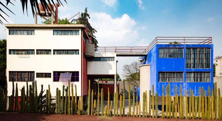 Coyoacán Vibes Tour & Xochimilco Afterparty Mexico &mdash; #2