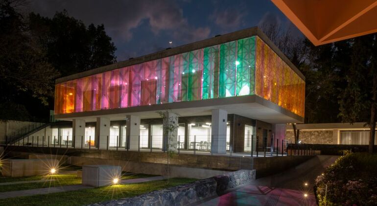 Coyoacán Vibes Tour & Xochimilco Afterparty Mexico &mdash; #3