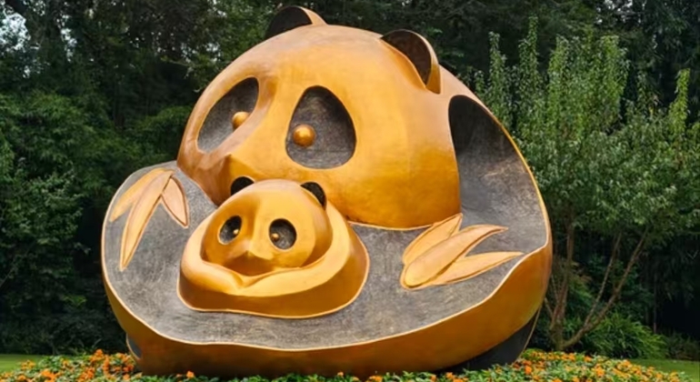 Visita guiada de meio dia à base de pandas de Chengdu República Popular da China &mdash; #6