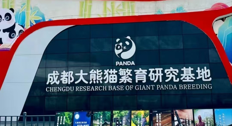 Visita guiada de meio dia à base de pandas de Chengdu República Popular da China &mdash; #7