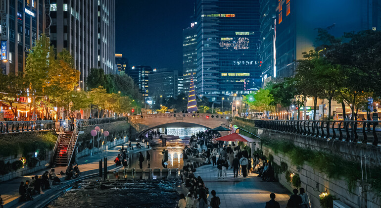 Gwanghwamun & Cheonggyecheon Historic Free Tour South Korea &mdash; #4