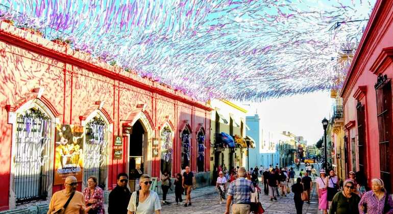 Oaxaca sin filtro: Un recorrido a pie por la historia, el arte y mucho más