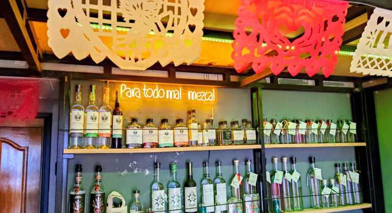 oaxaca-unfiltered-a-walking-tour-through-history-art-much-more-en-7