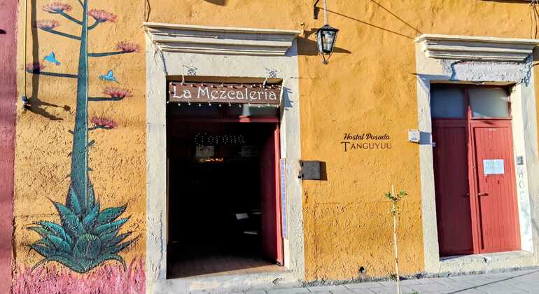 oaxaca-unfiltered-a-walking-tour-through-history-art-much-more-en-8