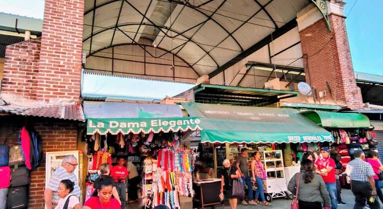 oaxaca-unfiltered-a-walking-tour-through-history-art-much-more-en-6