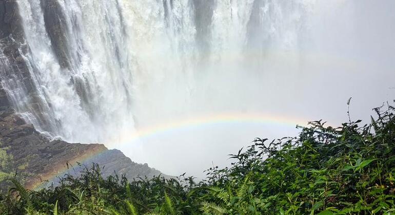 Victoria Falls Zimbabwe & Zambia Expert Guided Tour Zimbabwe &mdash; #3