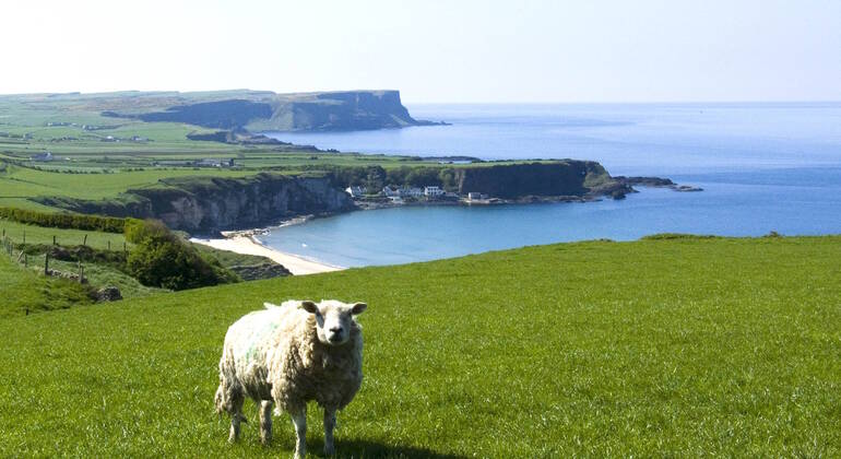 Audio Guide App: Ireland Road Trip Ireland &mdash; #4