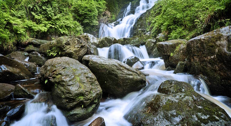 Audio Guide App: Ireland Road Trip Ireland &mdash; #11