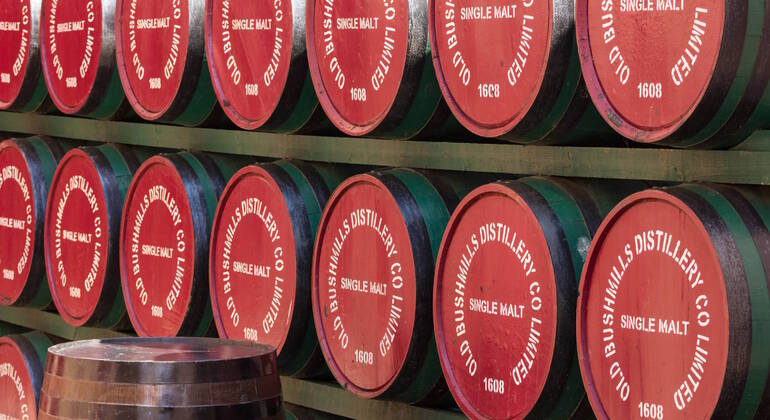 Audio Guide App: Ireland Road Trip Ireland &mdash; #16