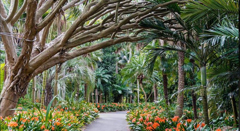 sydneys-essential-highlights-walking-tour-en-3