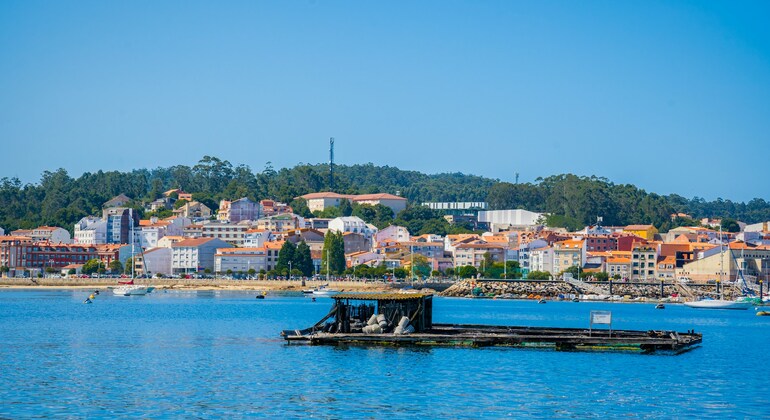 Visita gratuita a O Grove: História Marítima Organizado por David Torres