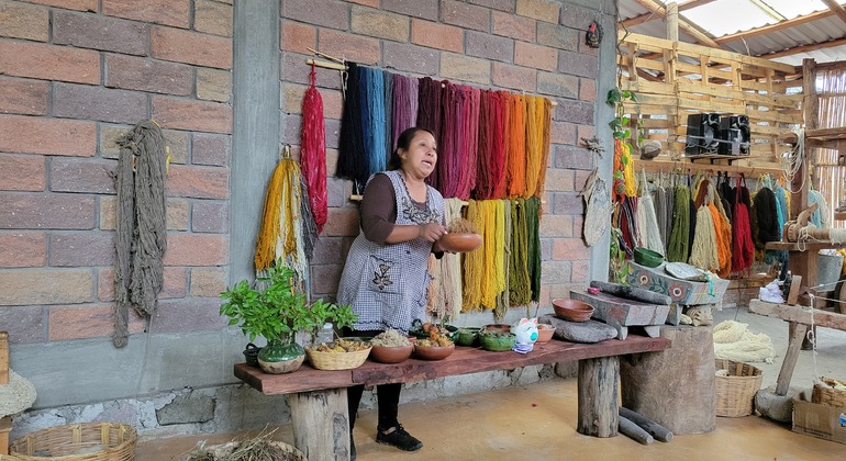 Hierve el Agua y Oaxaca: lo más destacado de la cultura México &mdash; #7
