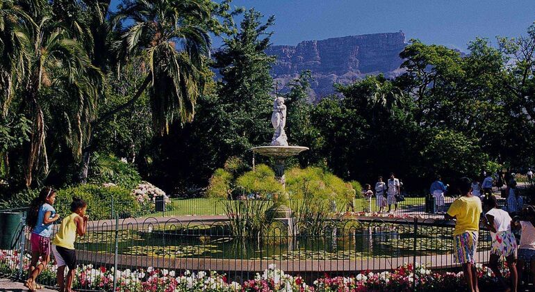 Mojo Walking Free Tour - Company Gardens