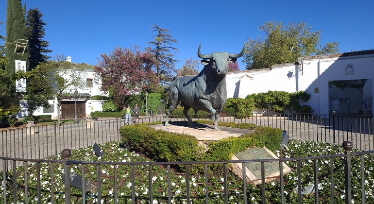 historical-free-tour-of-ronda-the-dreamed-city-en-1
