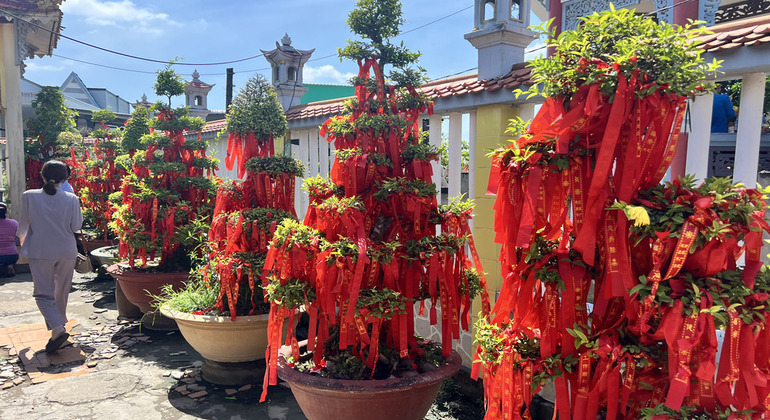 Ho Chi Minh City: Mekong Delta Full-Day VIP Speedboat Tour Vietnam &mdash; #11