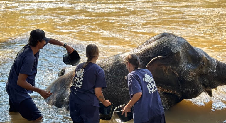 Ethical Elephant Sanctuary: Bamboo Rafting & Sticky Waterfall Provided by Guide woody