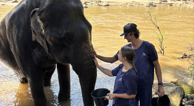 ethical-elephant-sanctuary-bamboo-rafting-sticky-waterfall-en-2