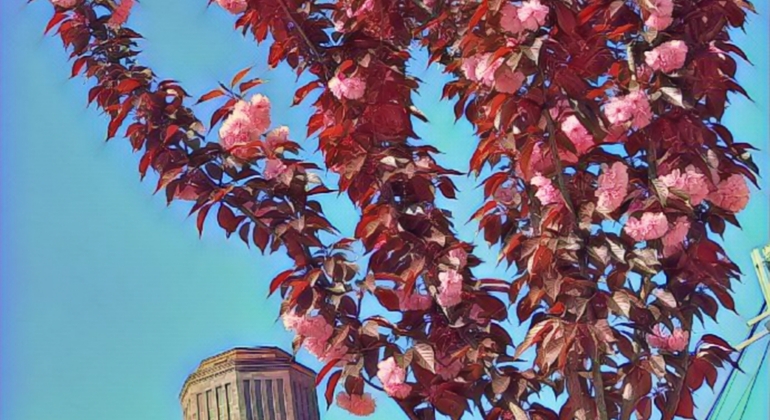 Walking Yerevan City Tour Armenia &mdash; #2