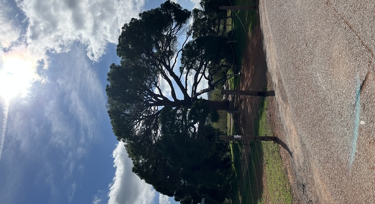 Ibiza Hidden Beauty Free Tour: Come and Discover its Secrets Spain &mdash; #4