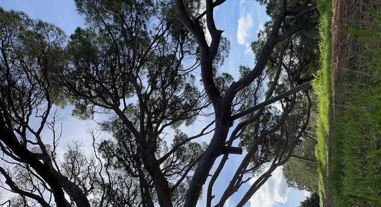 Ibiza Hidden Beauty Free Tour: Come and Discover its Secrets Spain &mdash; #5