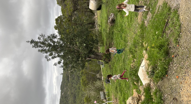 Ibiza Hidden Beauty Free Tour: Come and Discover its Secrets Spain &mdash; #6