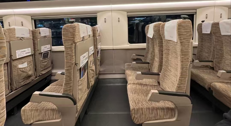 Chengdu Panda Valley & DuJiangYan Irrigation System Day Tour China &mdash; #3