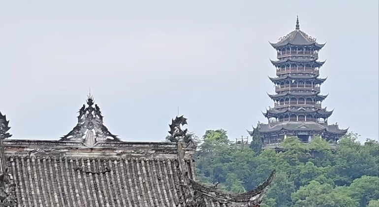 Chengdu Panda Valley & DuJiangYan Irrigation System Day Tour China &mdash; #4