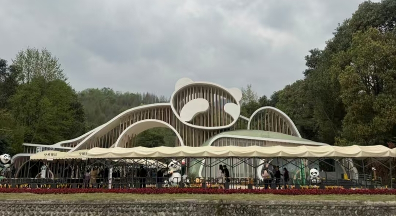 Chengdu Panda Valley & DuJiangYan Irrigation System Day Tour China &mdash; #5