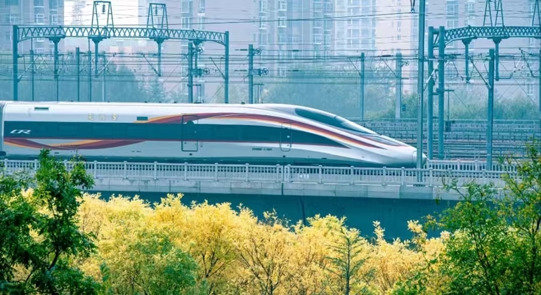 Chengdu Panda Valley & DuJiangYan Irrigation System Day Tour China &mdash; #6