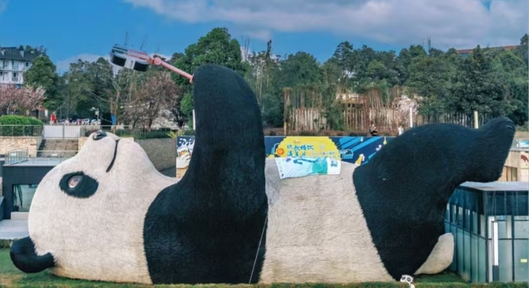 Chengdu Panda Valley & DuJiangYan Irrigation System Day Tour China &mdash; #10